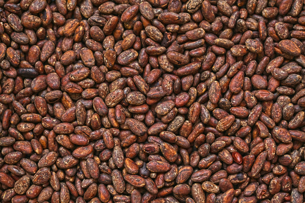 Tonka Bean, a note in Flor de Alegria by Piedalu Objects of Scent