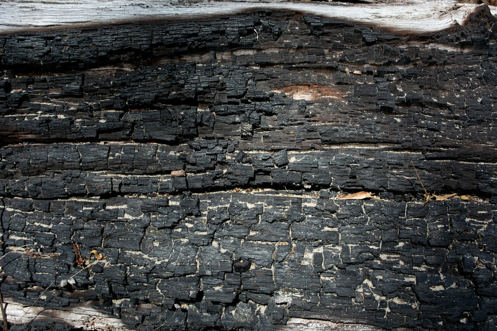 Guaiac Wood, a note in Incienso de Champa by Piedalu Objects of Scent